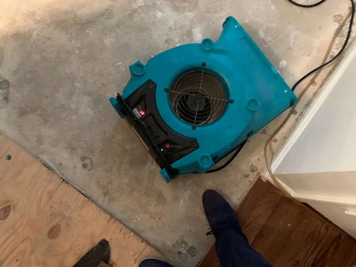Air mover drying subfloor during Leak Detection & Repair in Glen Allen